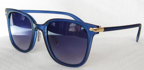 Matte Blue Wayfarer sunglasses CG54-1-4