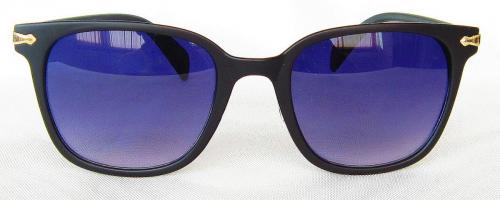 Wayfarer sunglasses CG54-1