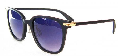 Matte Black frame Wayfarer sunglasses CG54-4
